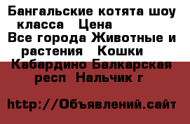 Бангальские котята шоу класса › Цена ­ 25 000 - Все города Животные и растения » Кошки   . Кабардино-Балкарская респ.,Нальчик г.